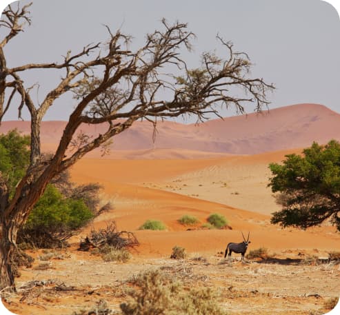 East Africa