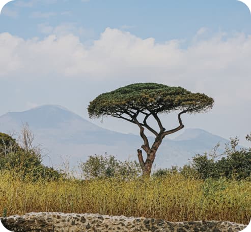 Southern Africa