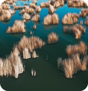Botswana