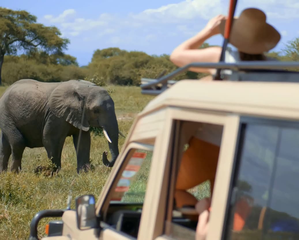 safari tours