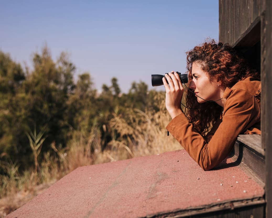 safari tours