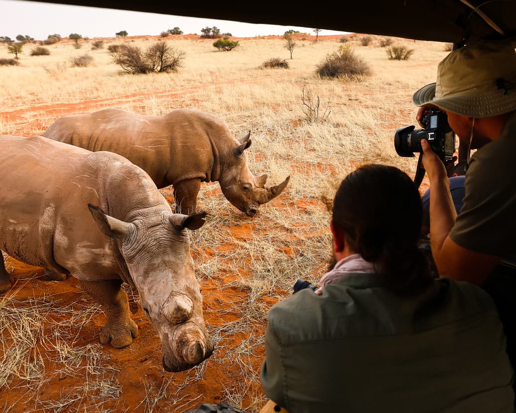safari tours