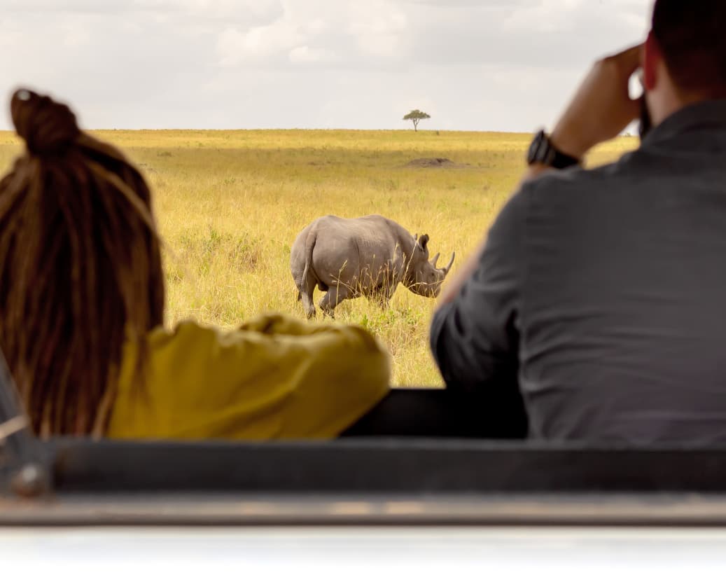 safari tours