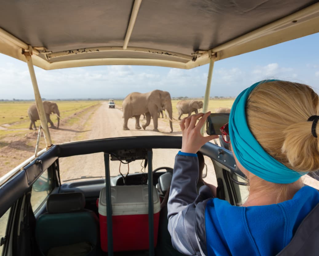 safari tours