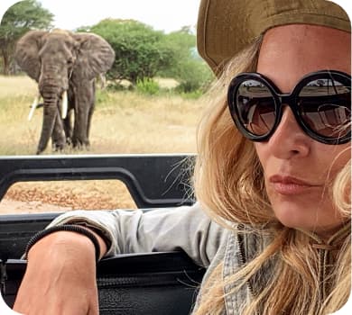 Safari Tours