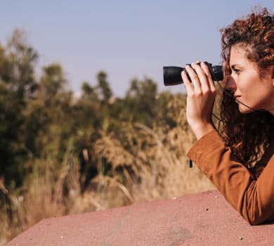 Safari Tours