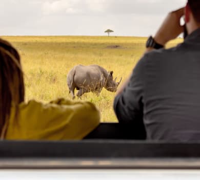 Safari Tours