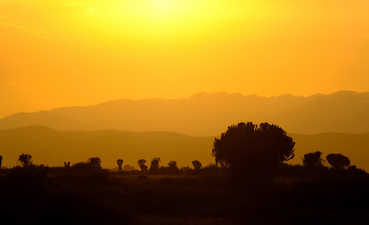 sunrise