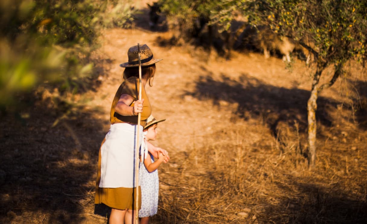 safari-tours